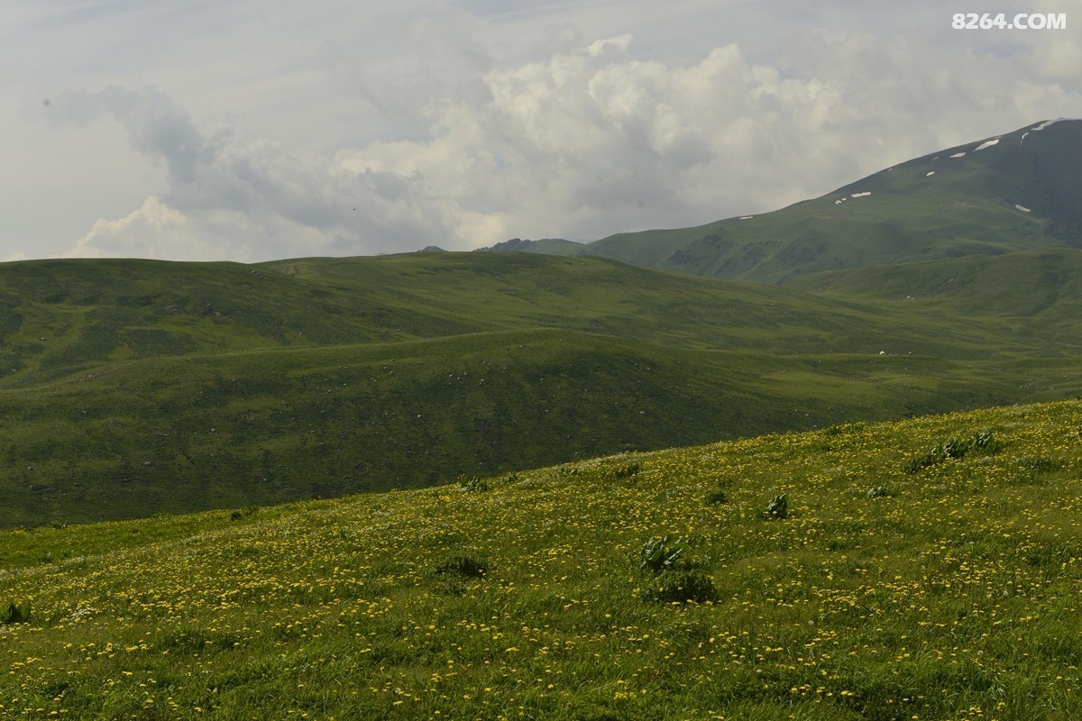 ��Խ���⣬���˰��ﻭ����ʥȪ���λ�֮�� (3).JPG