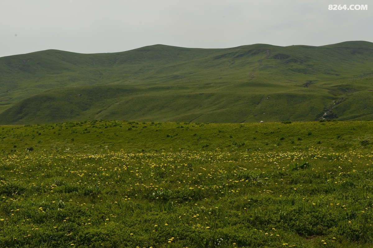��Խ���⣬���˰��ﻭ����ʥȪ���λ�֮�� (4).JPG