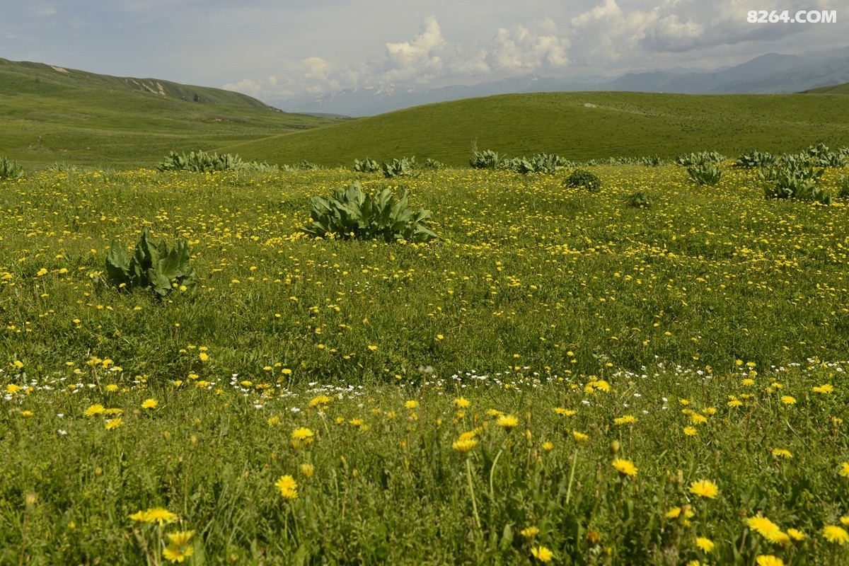 ��Խ���⣬���˰��ﻭ����ʥȪ���λ�֮�� (5).JPG