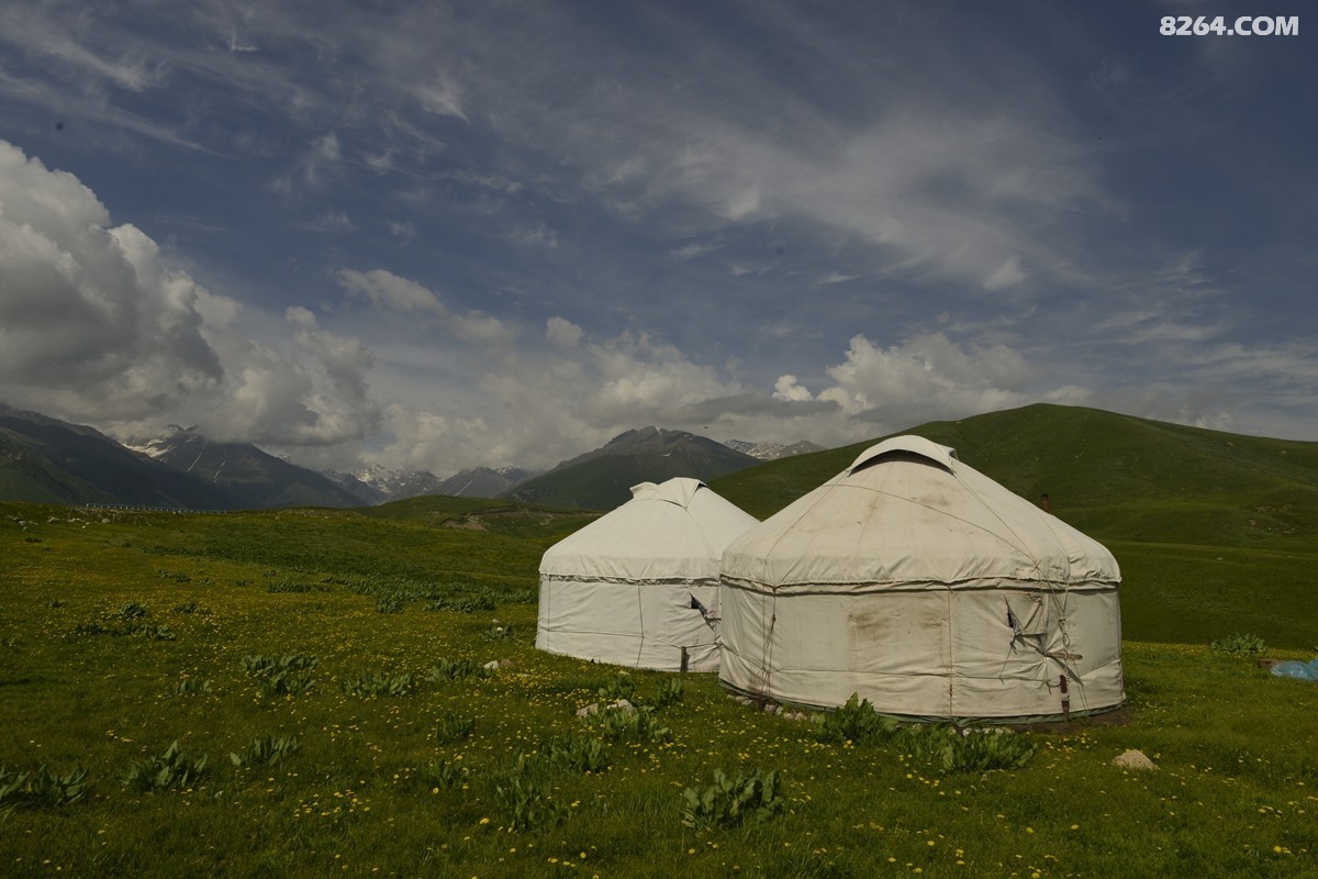 ��Խ���⣬���˰��ﻭ����ʥȪ���λ�֮�� (7).JPG