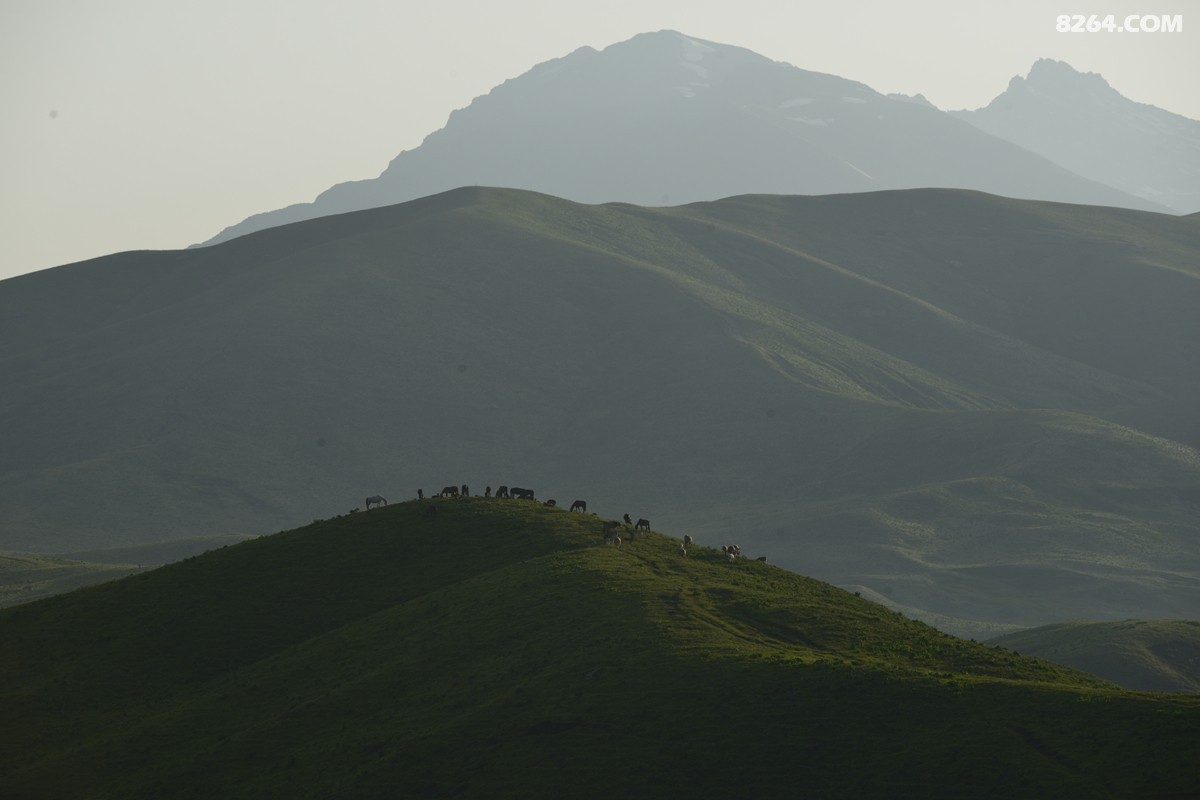 ��Խ���⣬���˰��ﻭ����ʥȪ���λ�֮�� (11).JPG