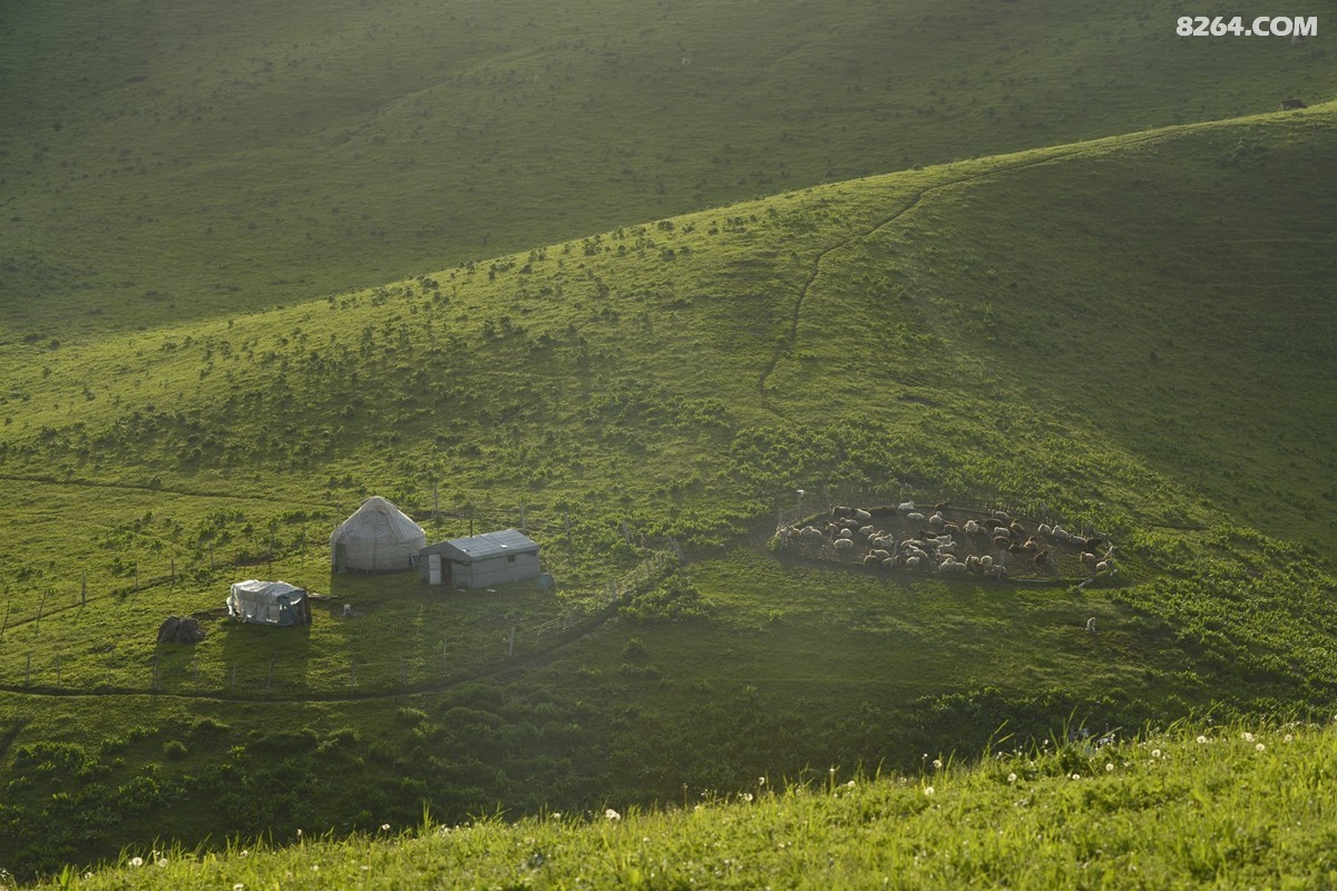 ��Խ���⣬���˰��ﻭ����ʥȪ���λ�֮�� (14).JPG