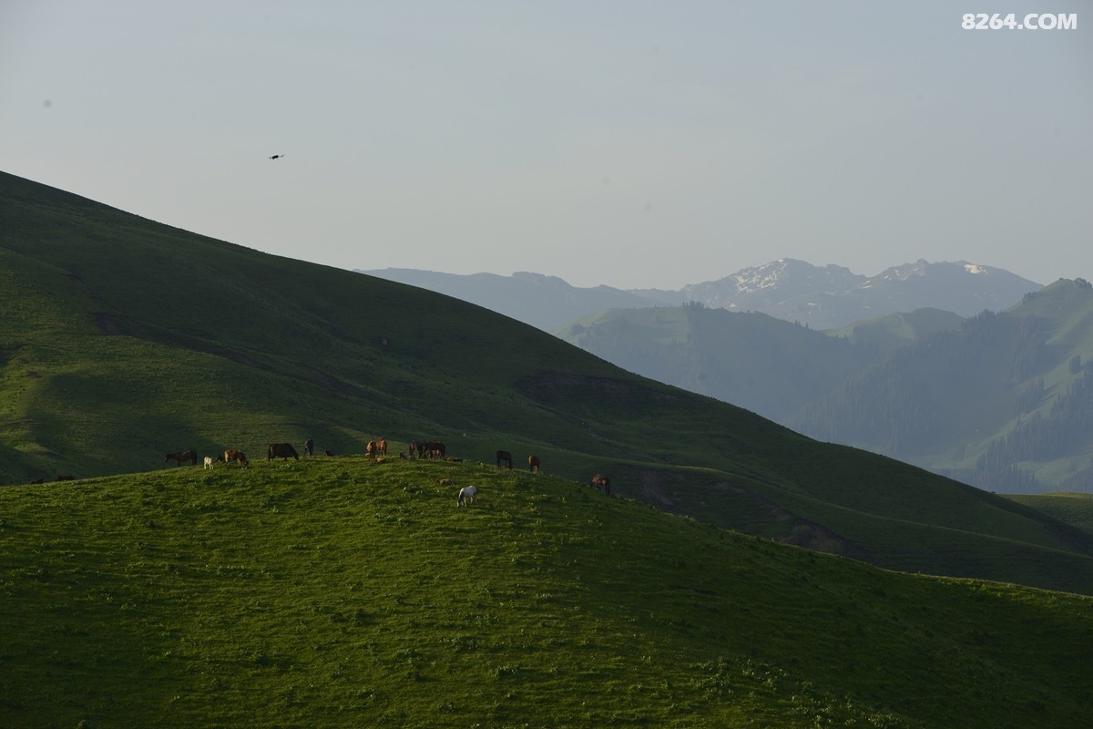 ��Խ���⣬���˰��ﻭ����ʥȪ���λ�֮�� (15).JPG