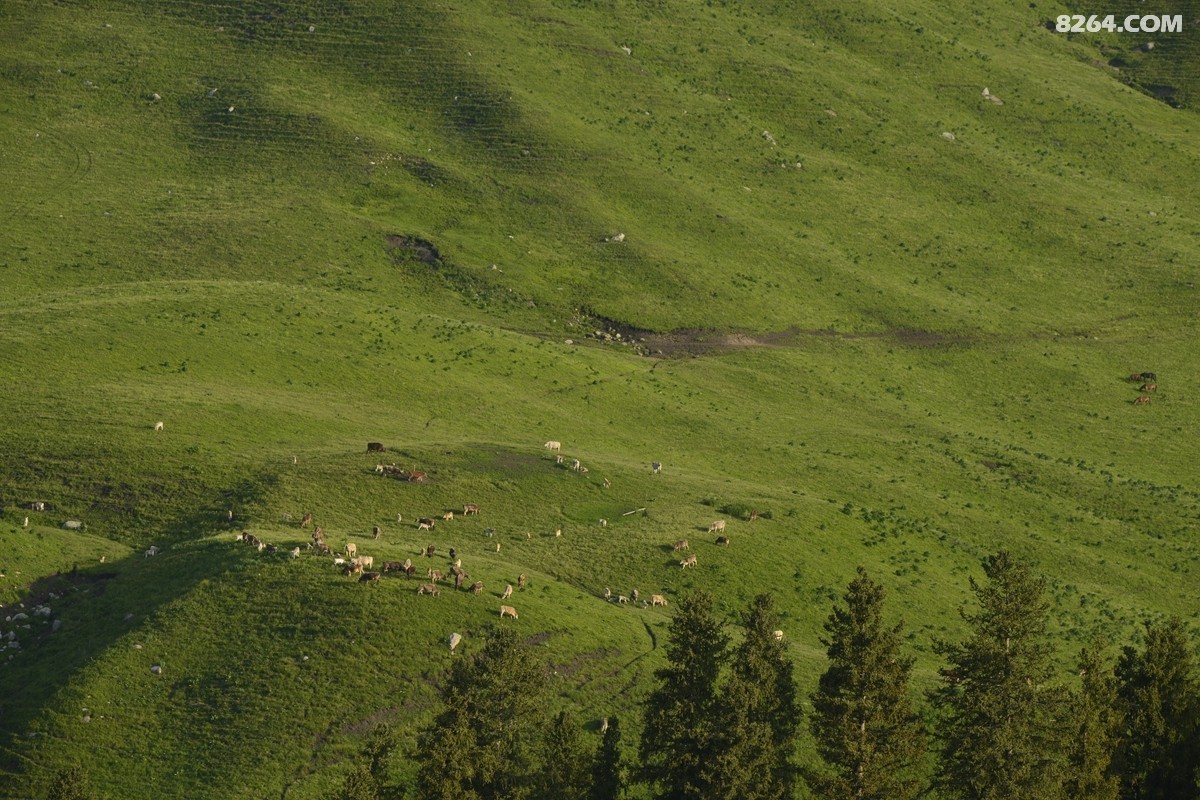��Խ���⣬���˰��ﻭ����ʥȪ���λ�֮�� (18).JPG
