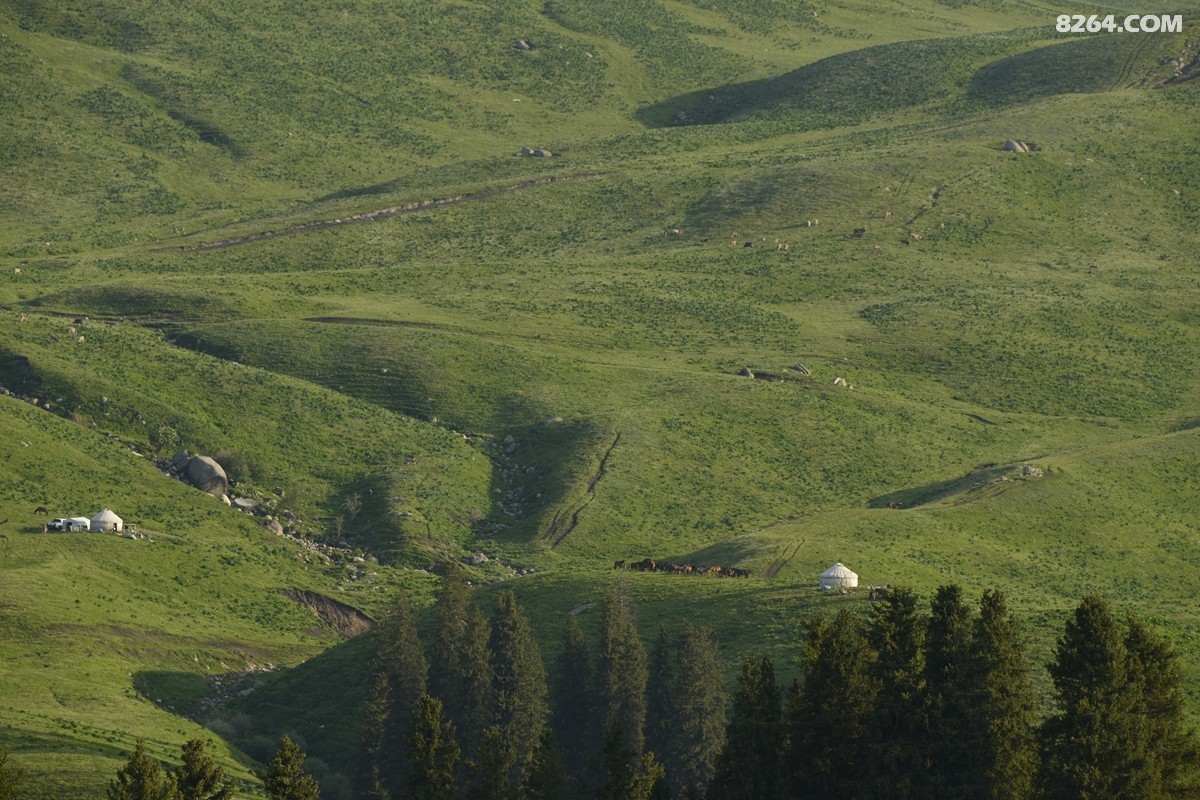 ��Խ���⣬���˰��ﻭ����ʥȪ���λ�֮�� (19).JPG