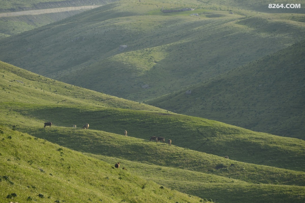 ��Խ���⣬���˰��ﻭ����ʥȪ���λ�֮�� (20).JPG
