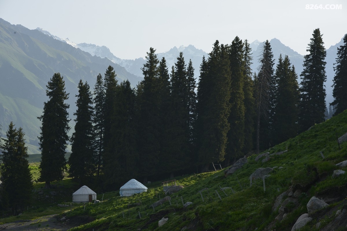 ��Խ���⣬���˰��ﻭ����ʥȪ���λ�֮�� (26).JPG