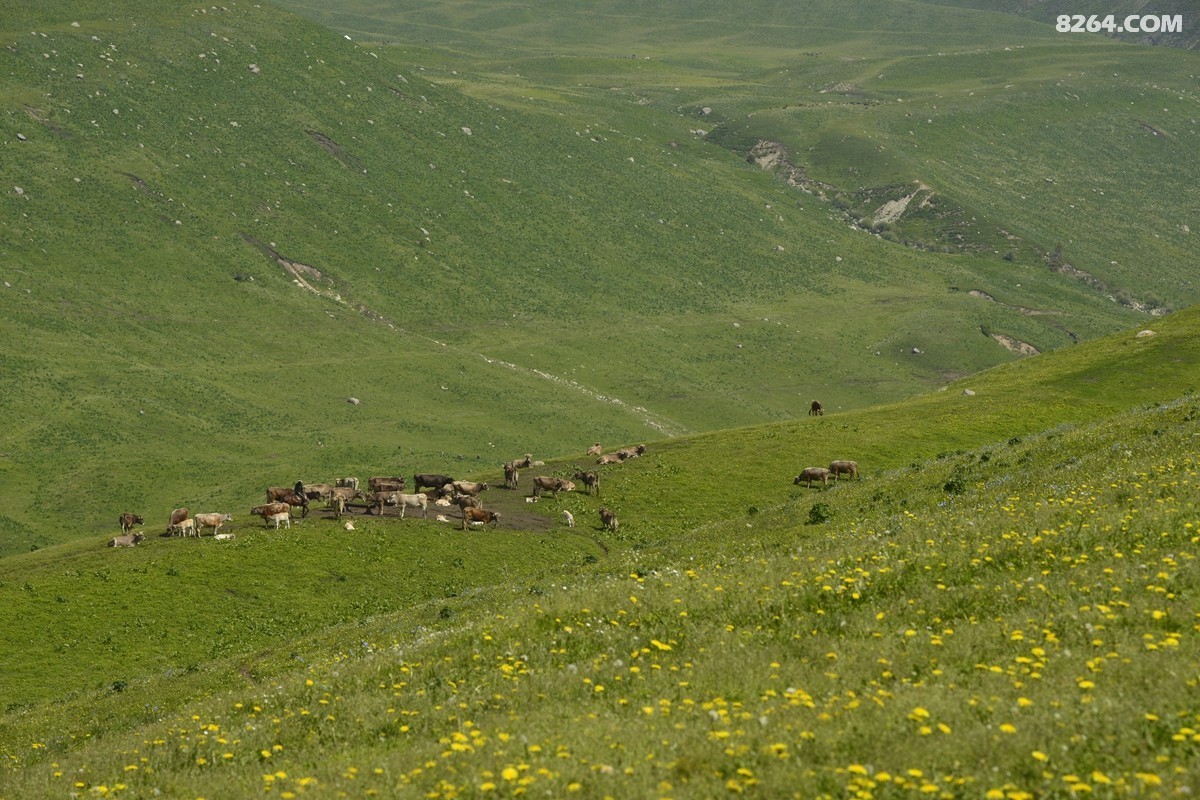 ��Խ���⣬���˰��ﻭ����ʥȪ���λ�֮�� (30).JPG
