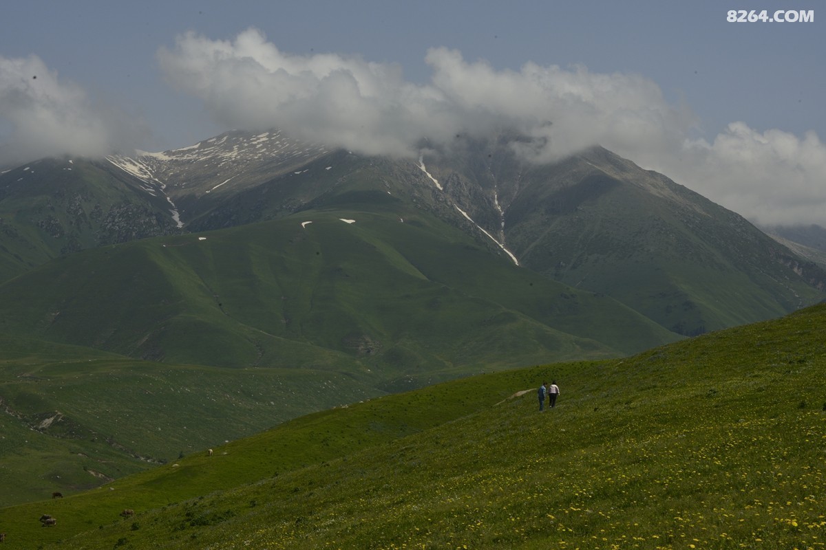 ��Խ���⣬���˰��ﻭ����ʥȪ���λ�֮�� (33).JPG