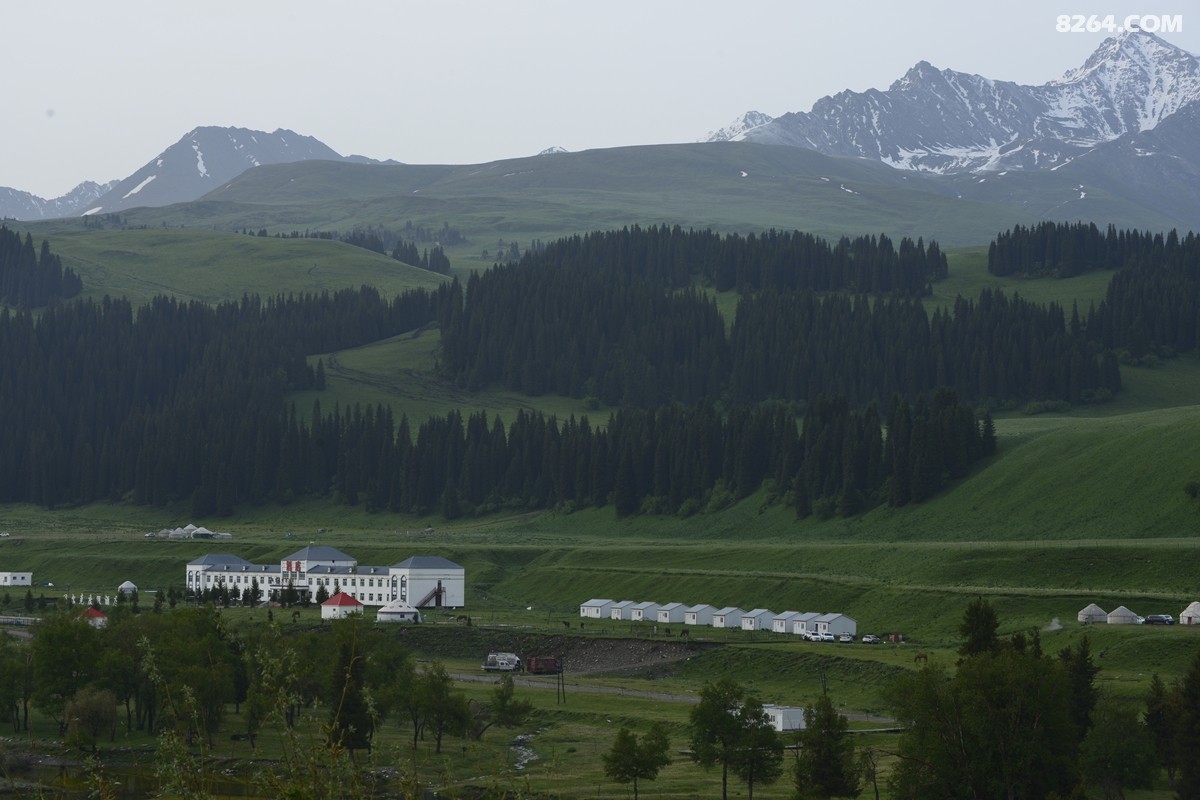 ��Խ���⣬���˰��ﻭ����ʥȪ���λ�֮�� (34).JPG