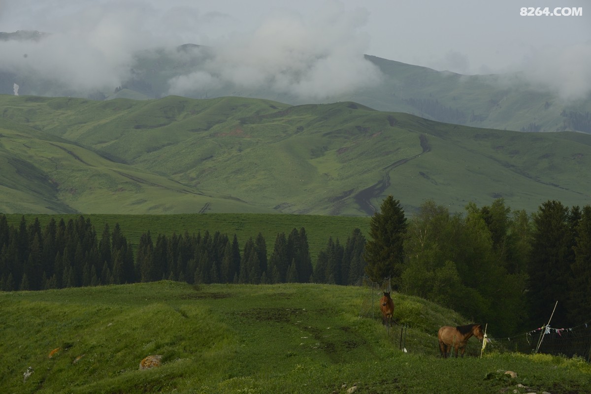 ��Խ���⣬���˰��ﻭ����ʥȪ���λ�֮�� (42).JPG