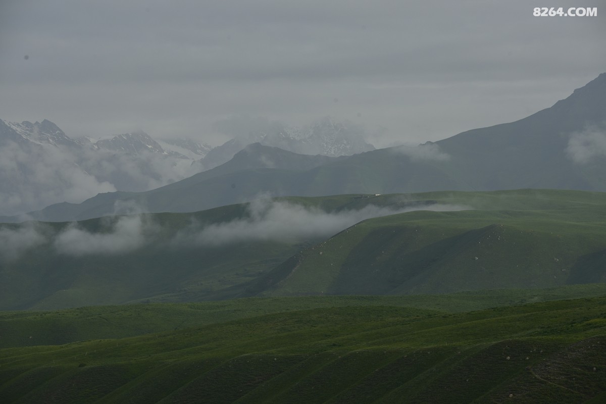 ��Խ���⣬���˰��ﻭ����ʥȪ���λ�֮�� (43).JPG