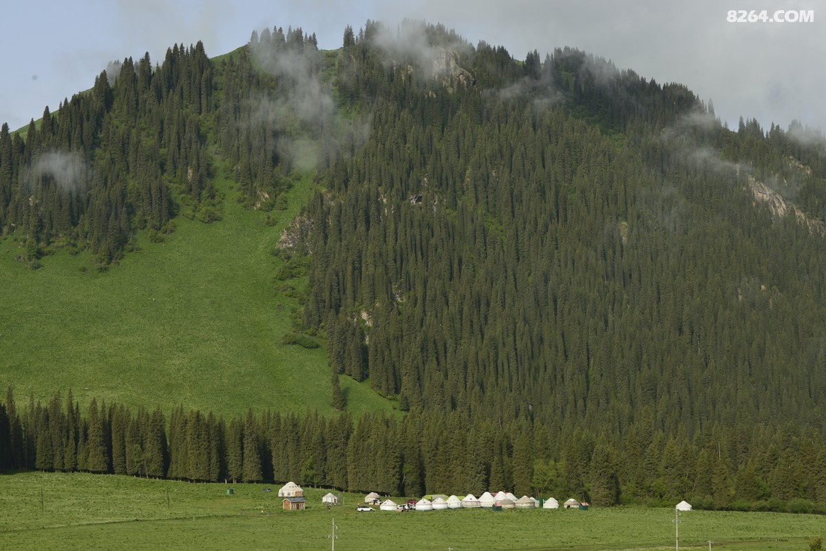 ��Խ���⣬���˰��ﻭ����ʥȪ���λ�֮�� (49).JPG