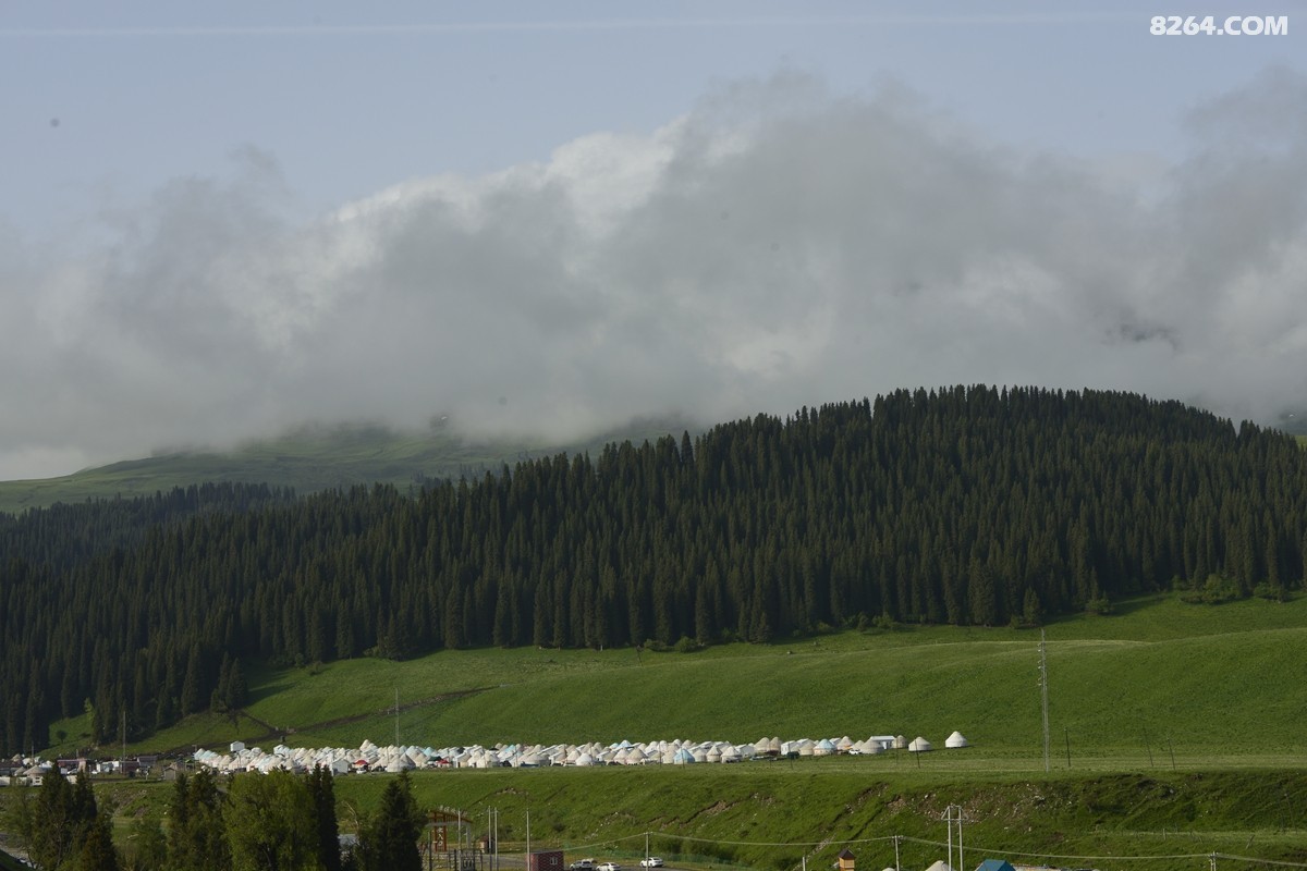 ��Խ���⣬���˰��ﻭ����ʥȪ���λ�֮�� (50).JPG