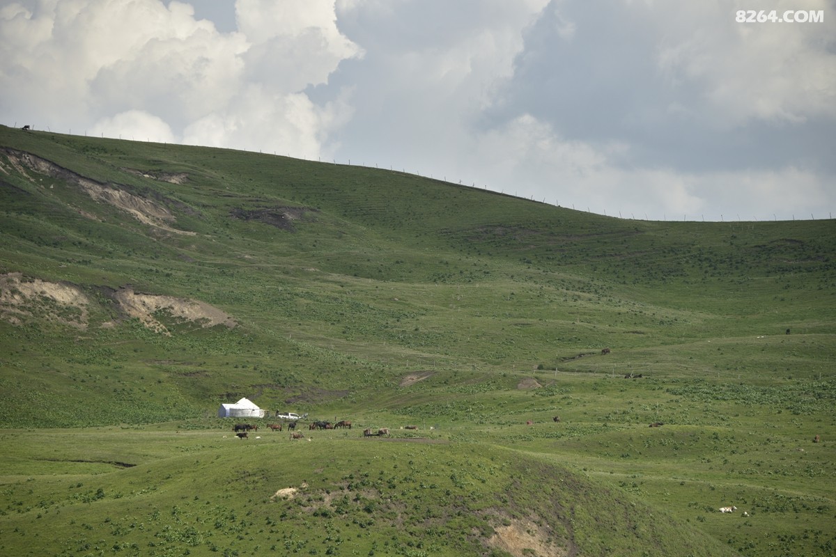 ��Խ���⣬���˰��ﻭ����ʥȪ���λ�֮�� (52).JPG