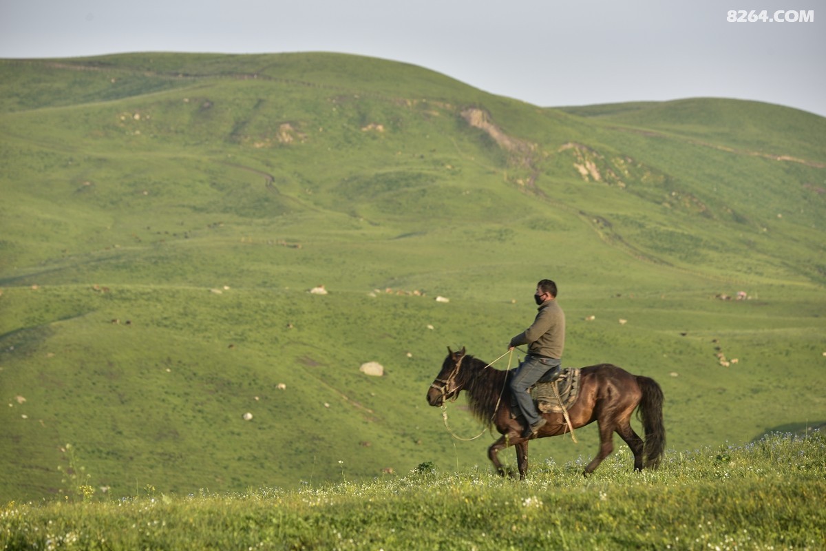 ��Խ���⣬���˰��ﻭ����ʥȪ���λ�֮�� (56).JPG