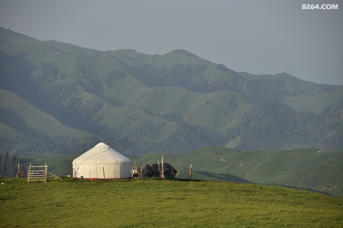 ��Խ���⣬���˰��ﻭ����ʥȪ���λ�֮�� (57).JPG