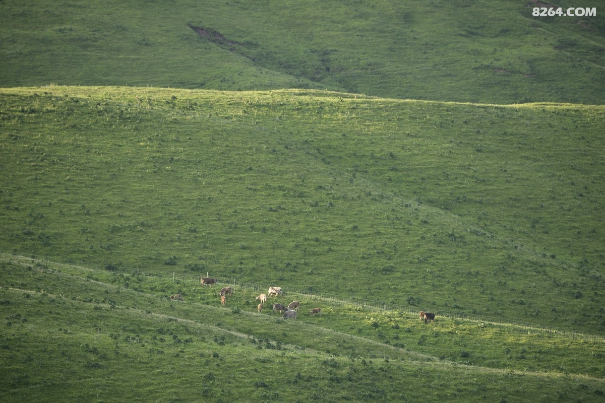 ��Խ���⣬���˰��ﻭ����ʥȪ���λ�֮�� (58).JPG