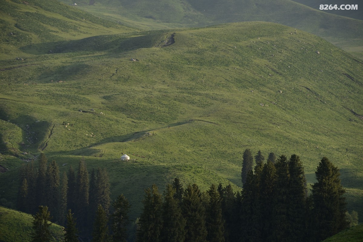 ��Խ���⣬���˰��ﻭ����ʥȪ���λ�֮�� (62).JPG