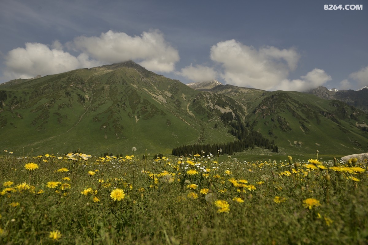 ��Խ���⣬���˰��ﻭ����ʥȪ���λ�֮�� (66).JPG