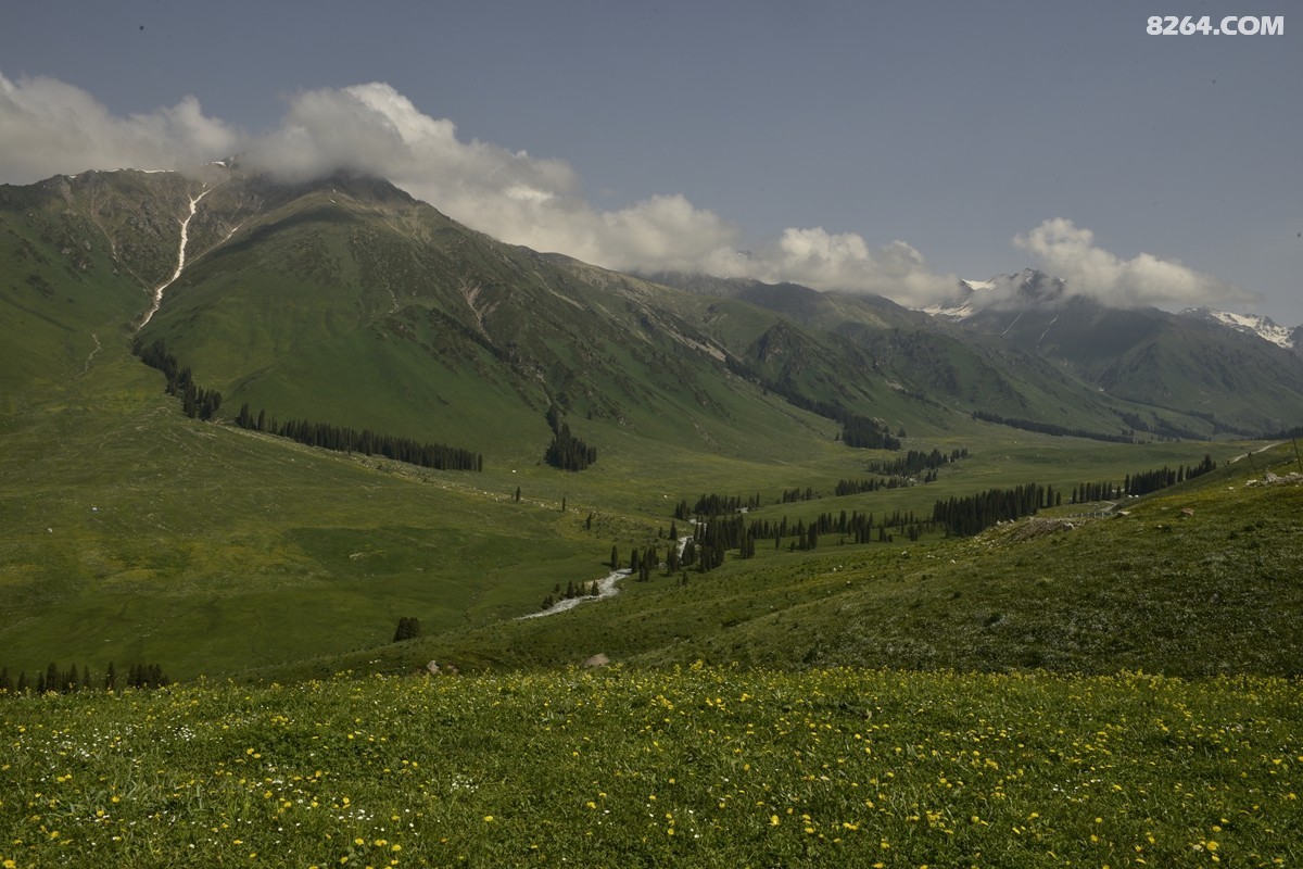 ��Խ���⣬���˰��ﻭ����ʥȪ���λ�֮�� (67).JPG