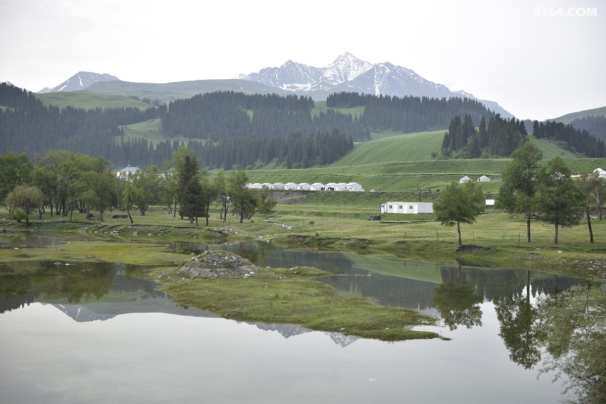 ��Խ���⣬���˰��ﻭ����ʥȪ���λ�֮�� (68).JPG