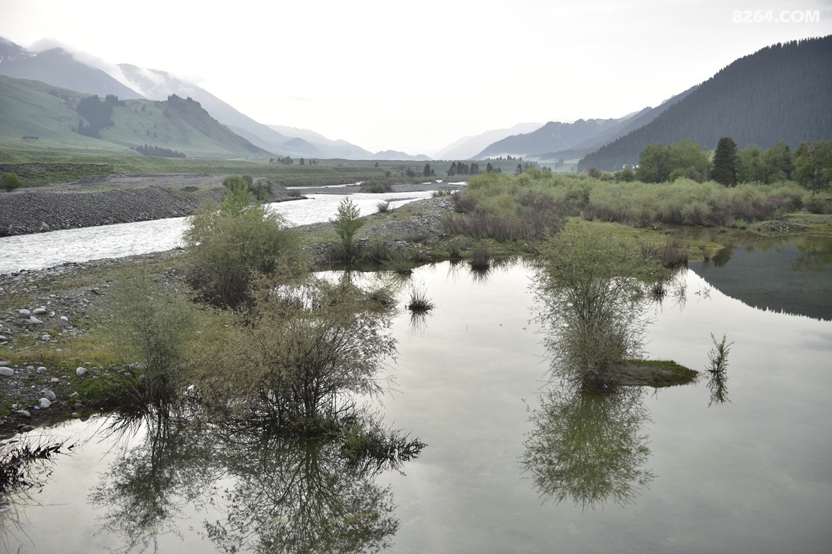 ��Խ���⣬���˰��ﻭ����ʥȪ���λ�֮�� (69).JPG