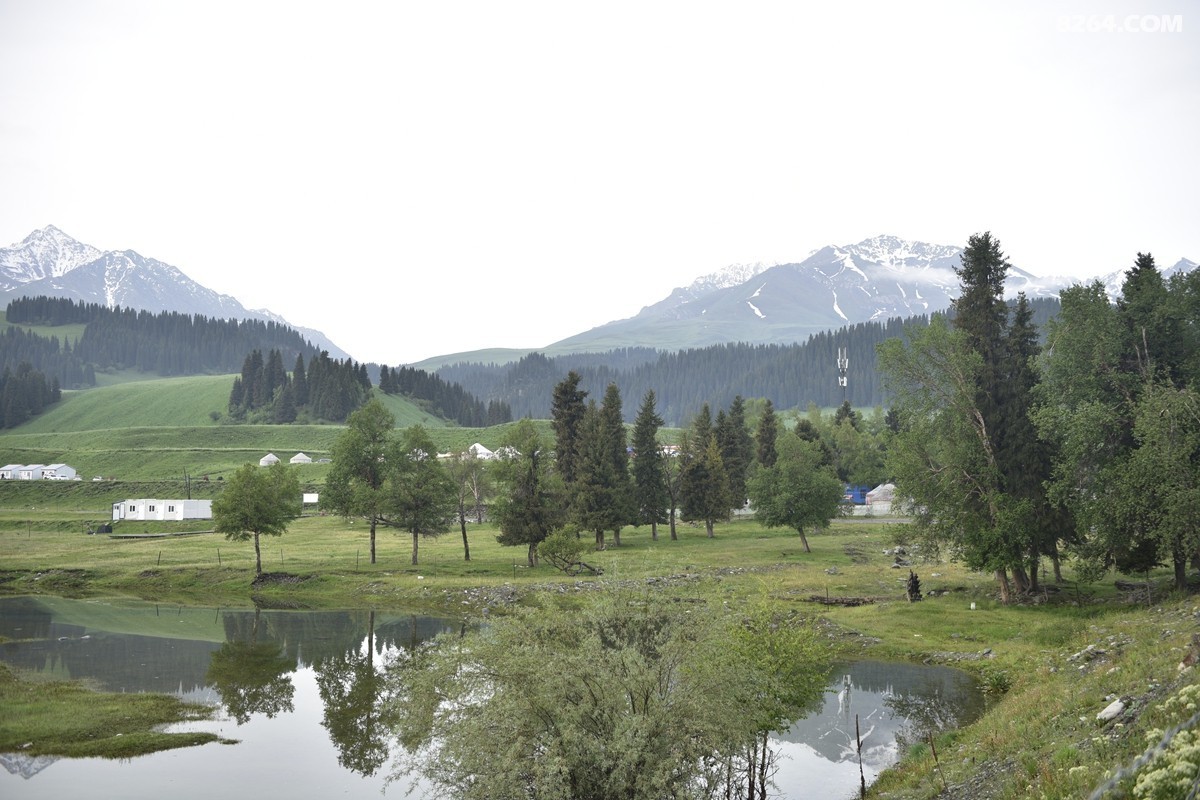 ��Խ���⣬���˰��ﻭ����ʥȪ���λ�֮�� (70).JPG