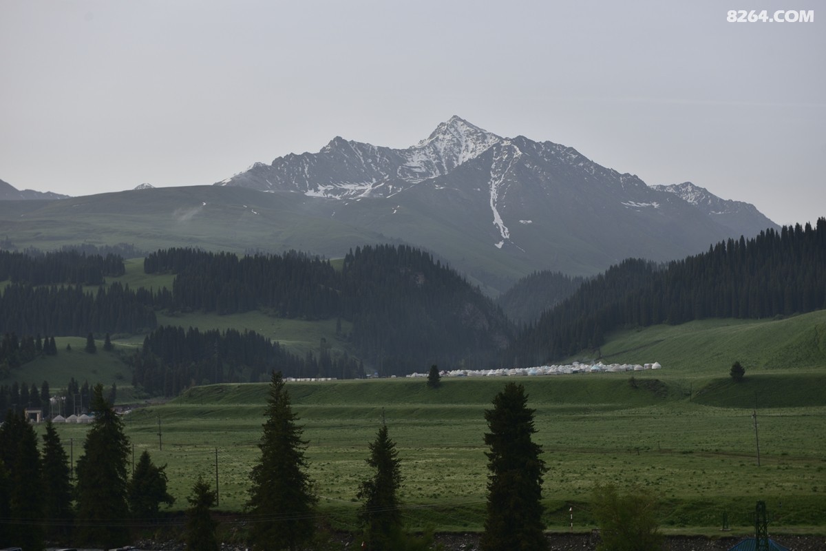 ��Խ���⣬���˰��ﻭ����ʥȪ���λ�֮�� (73).JPG