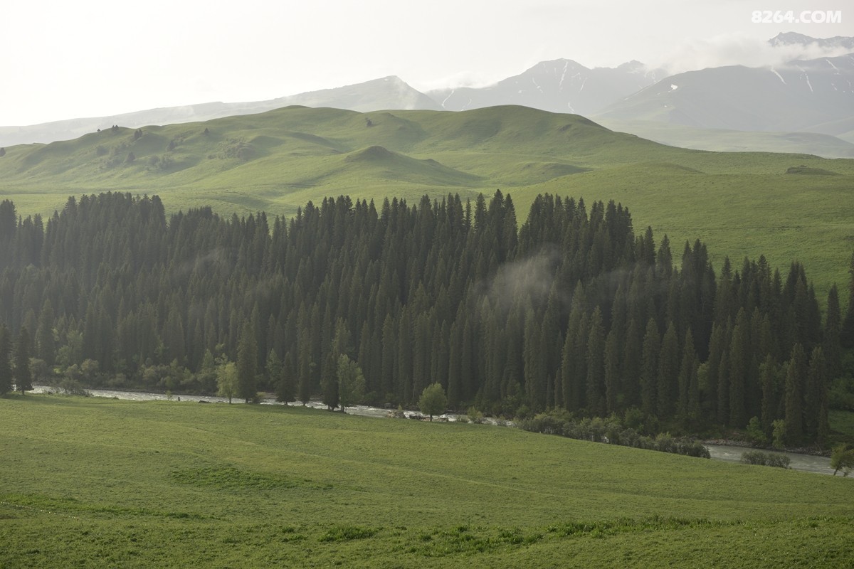 ��Խ���⣬���˰��ﻭ����ʥȪ���λ�֮�� (84).JPG