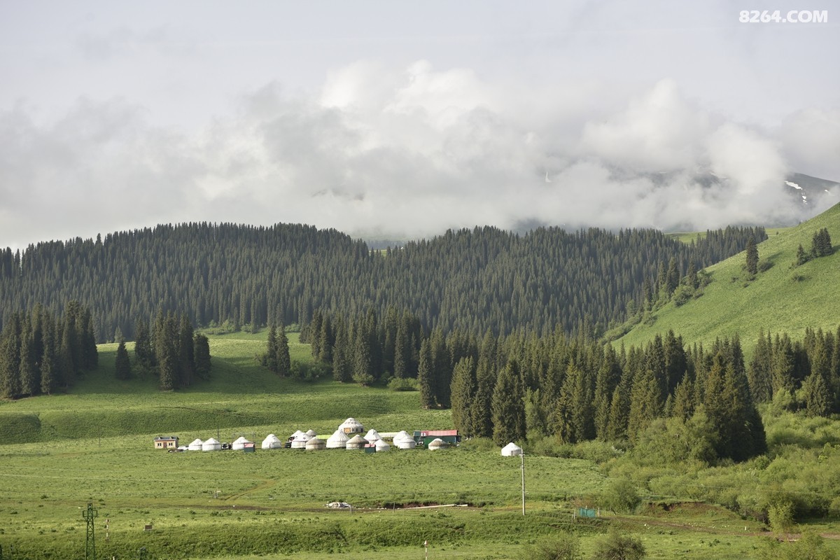 ��Խ���⣬���˰��ﻭ����ʥȪ���λ�֮�� (86).JPG