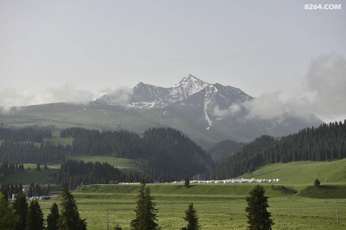 ��Խ���⣬���˰��ﻭ����ʥȪ���λ�֮�� (87).JPG