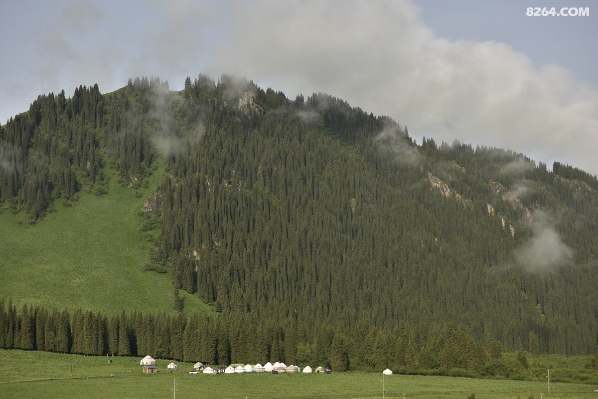 ��Խ���⣬���˰��ﻭ����ʥȪ���λ�֮�� (88).JPG
