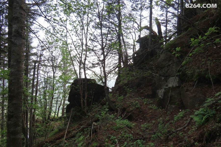 IMG_1149.jpg