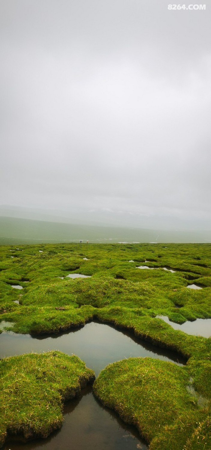 IMG_20230725_141104.jpg