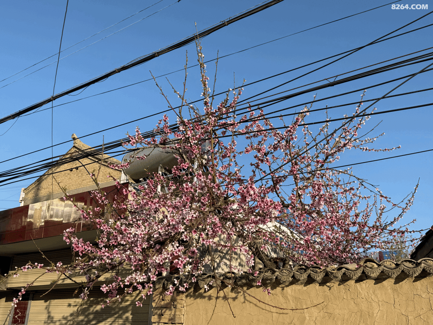 tempImageho5PzN.gif