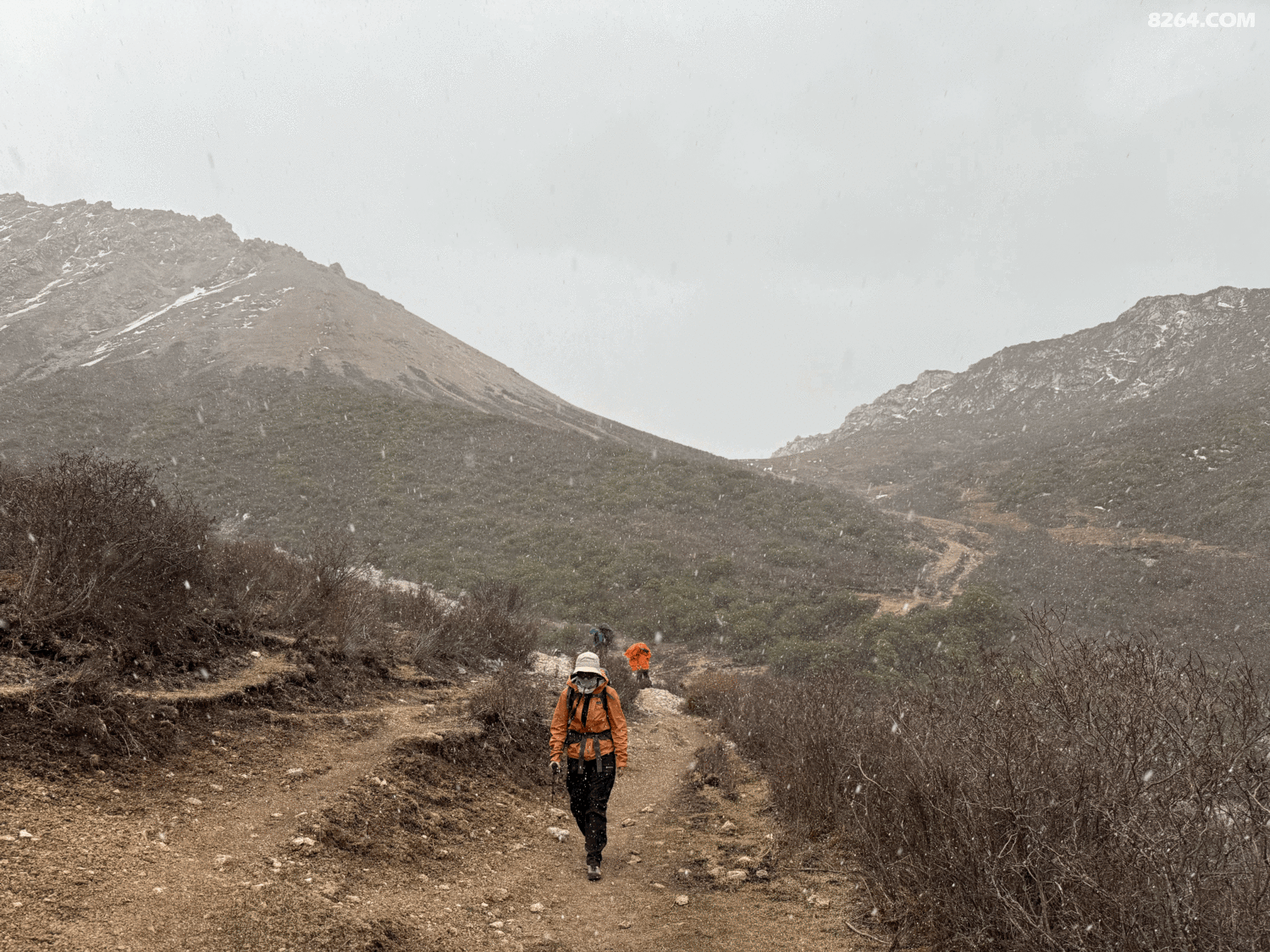 tempImageP88pSJ.gif