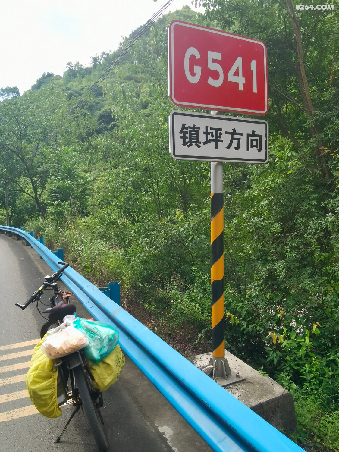 91.jpg