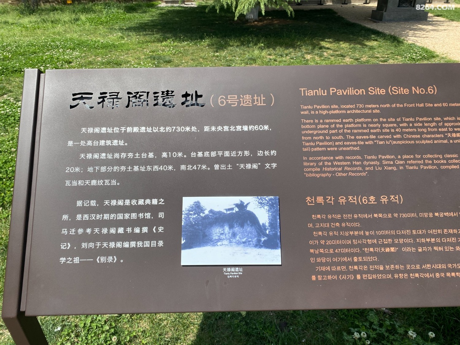 2023-04-25 134802.jpg