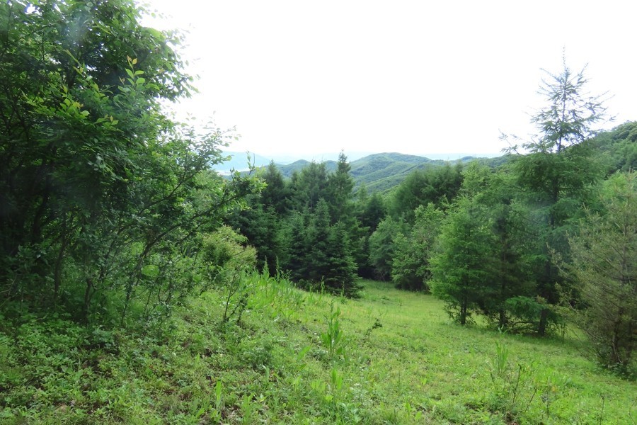 IMG_1644.jpg
