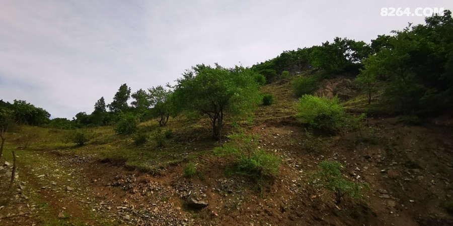 IMG_20250607_084826.jpg