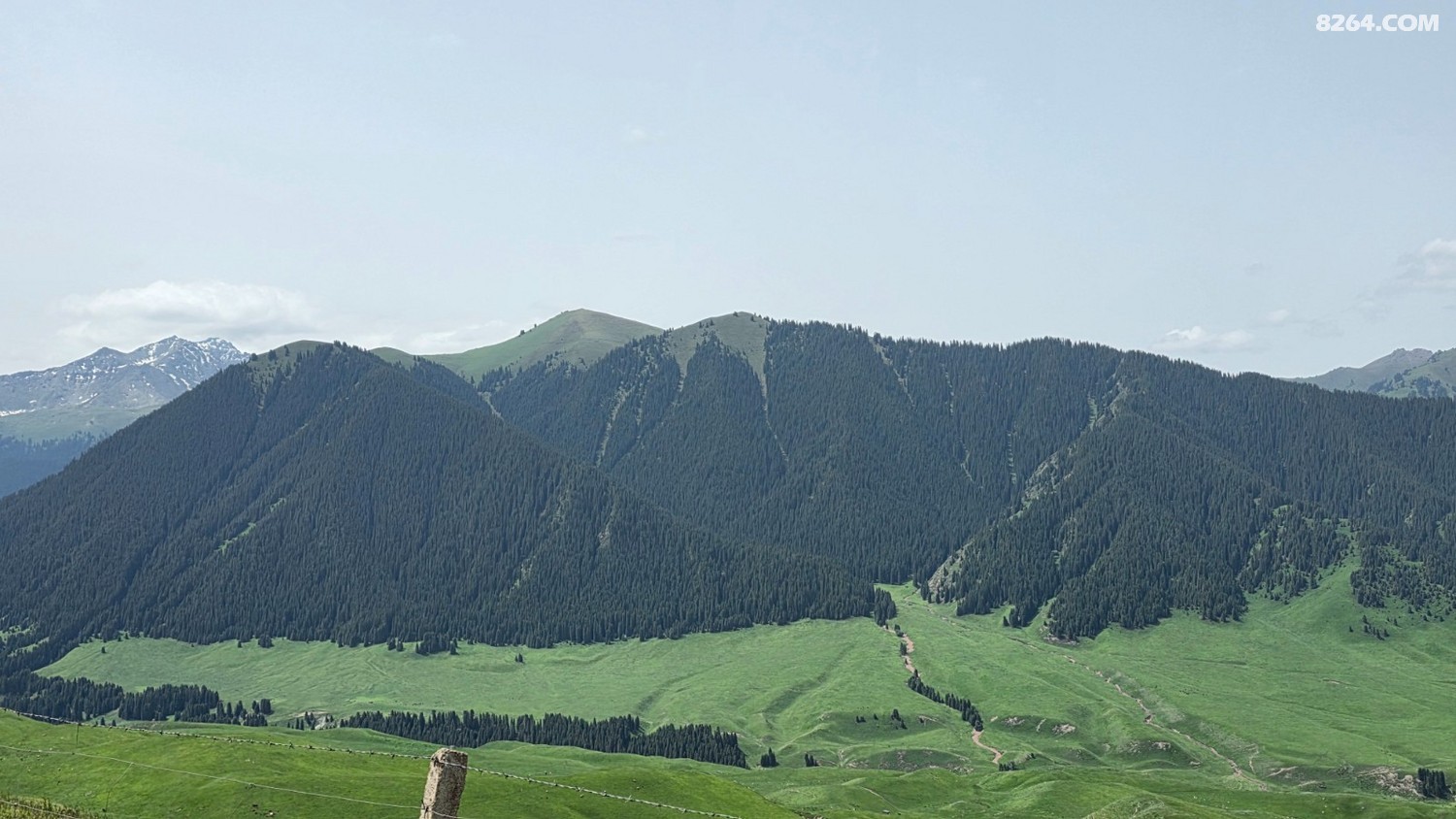 20250601_125051.jpg