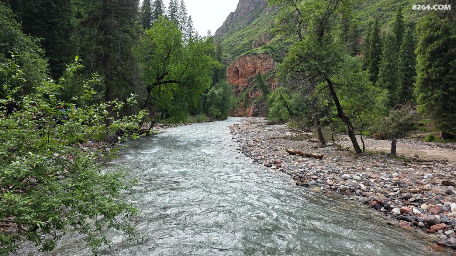 20250601_172809.jpg