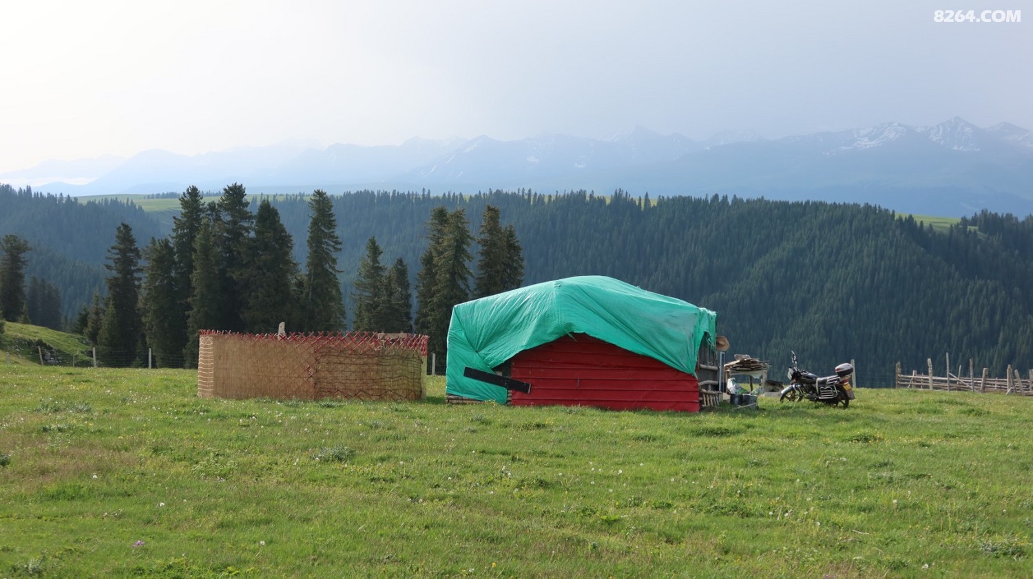 IMG_4170.JPG