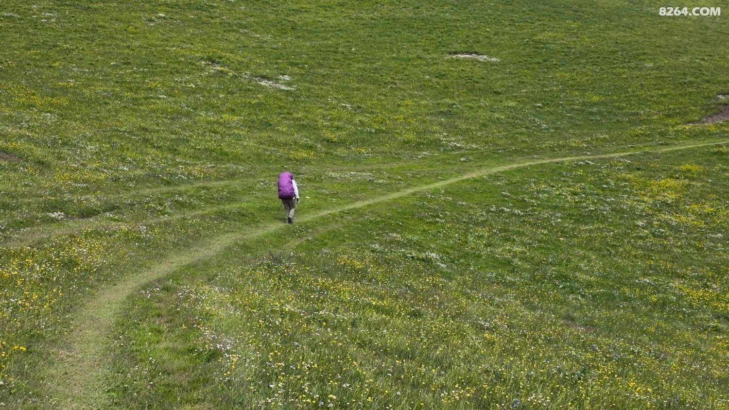 20250602_160808.jpg