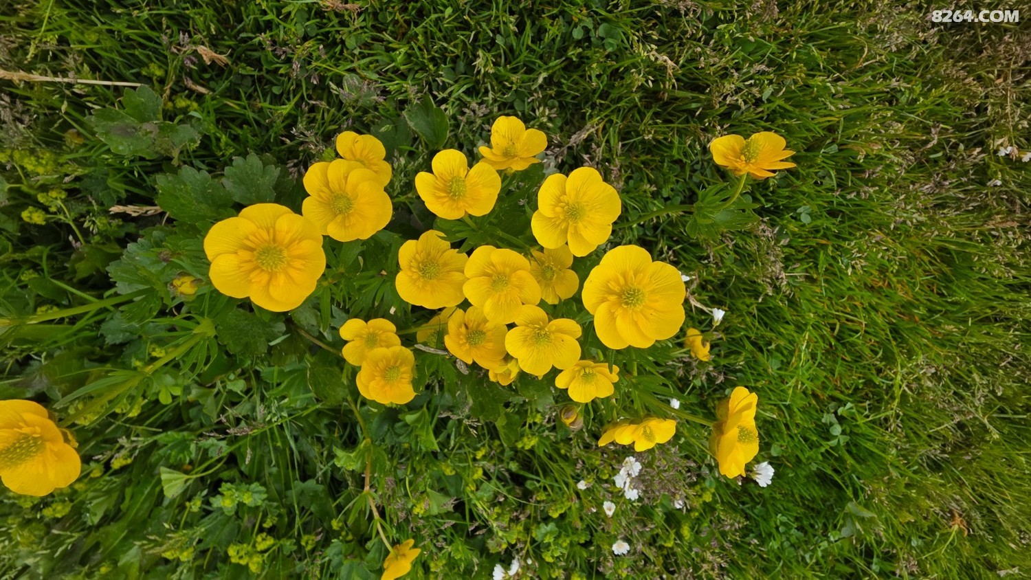 20250603_084857.jpg