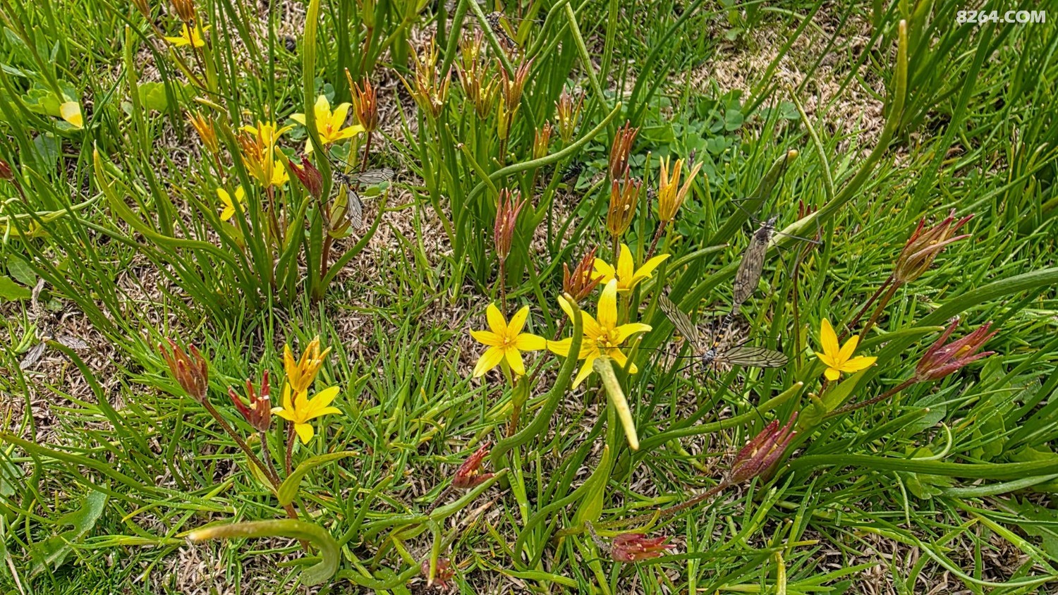 20250603_092800.jpg
