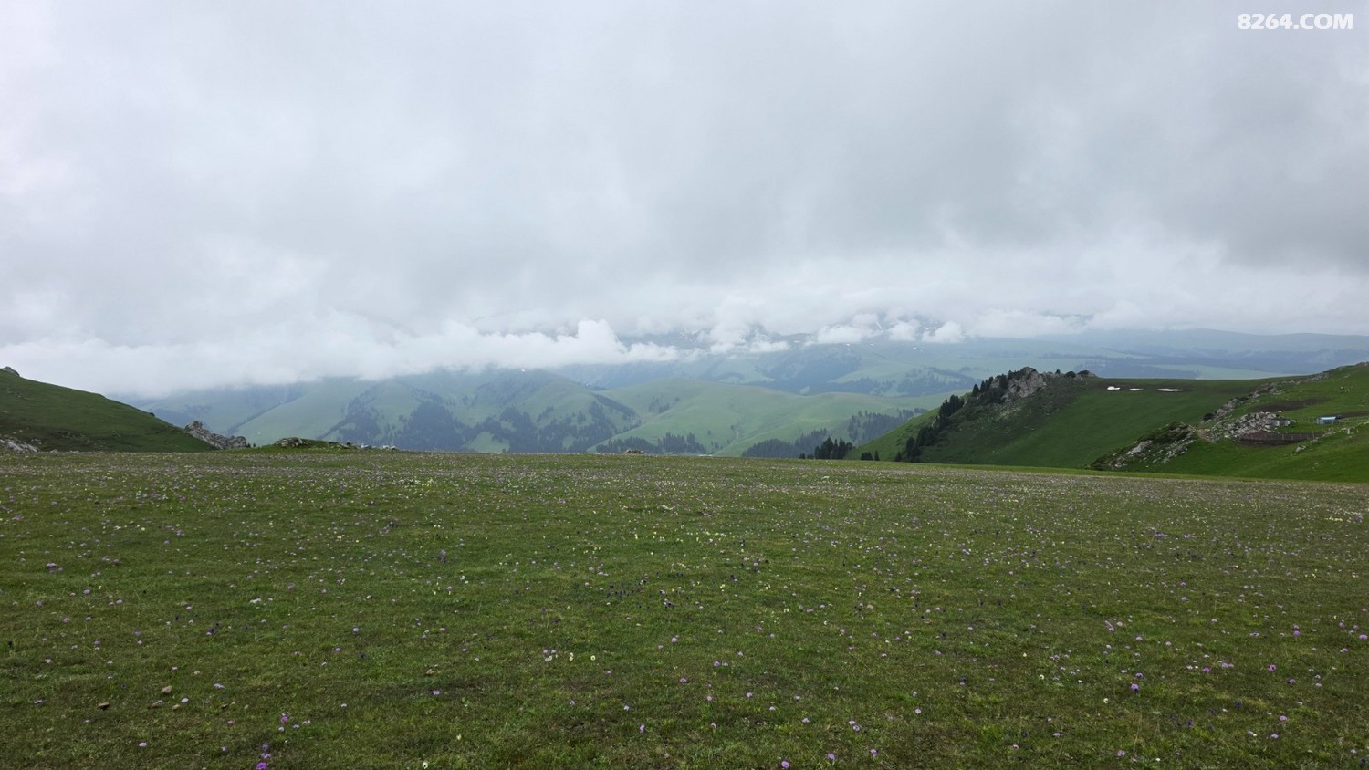 20250603_102346.jpg