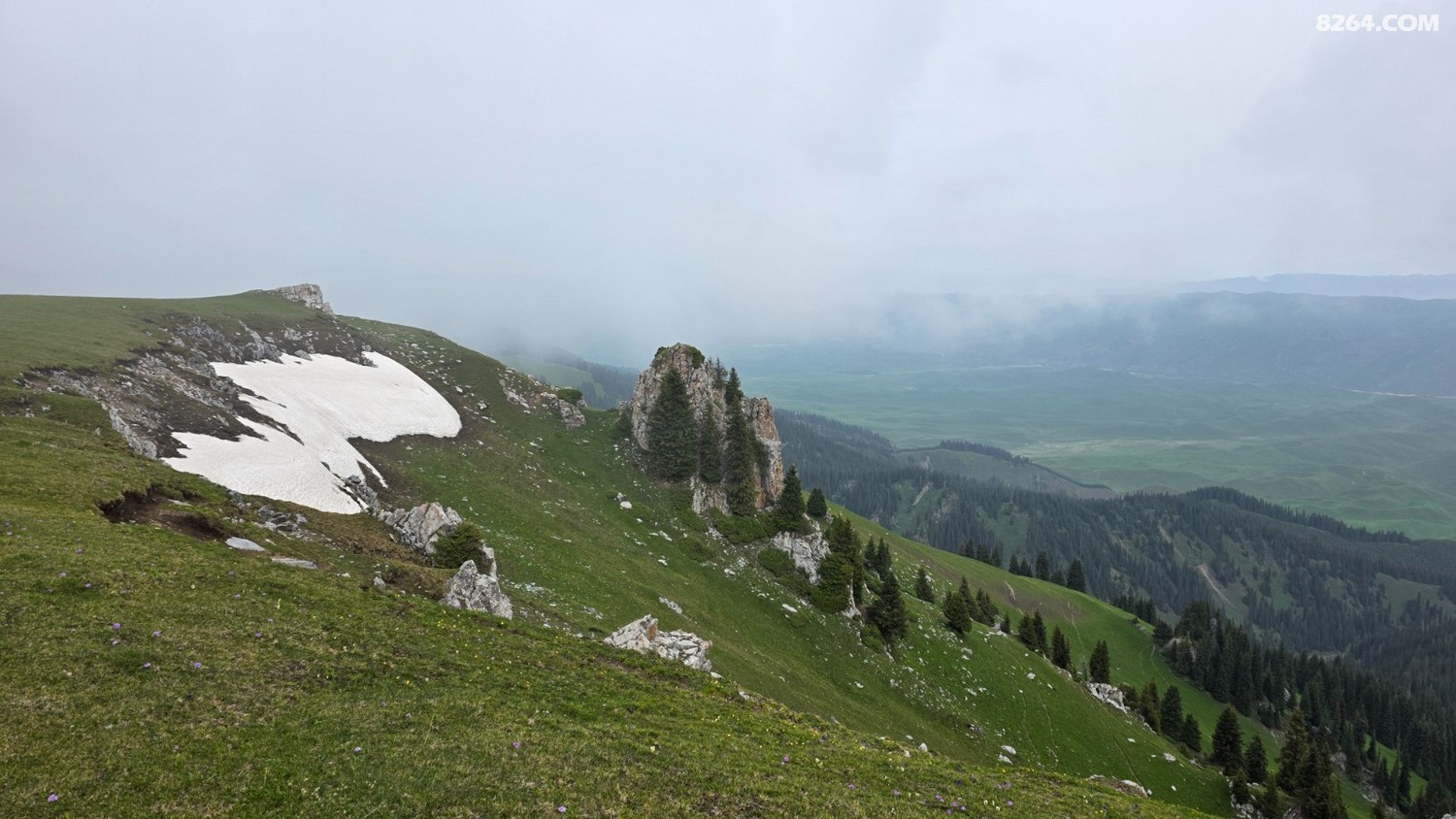 20250603_102704.jpg