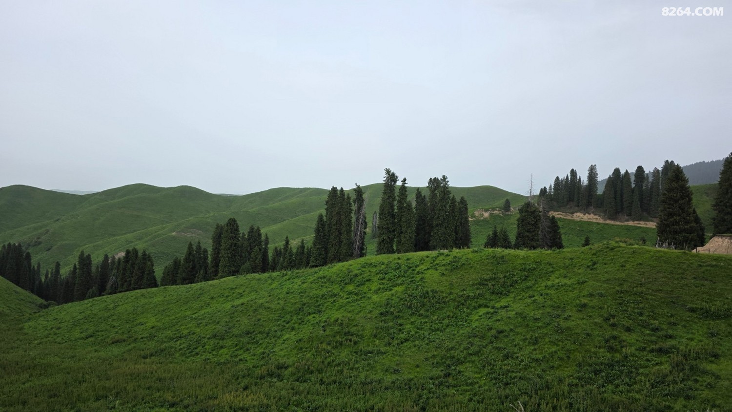 20250603_194814.jpg